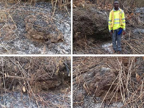 Alluvial and Rock Gold Mines in Sierra Leone: Case Analysis Chongqian Fund Process Design Project Implementation 第3张