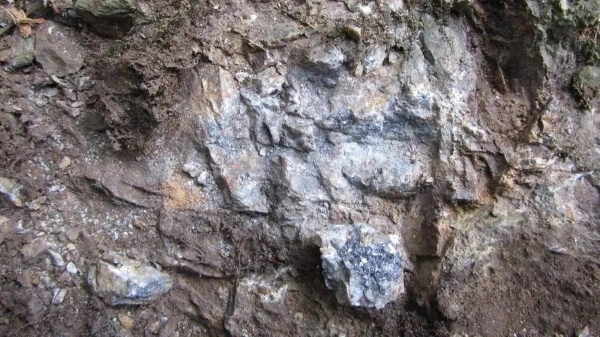 Experimental Study on Mineral Processing Scheme of Lead Zinc Oxide Ore