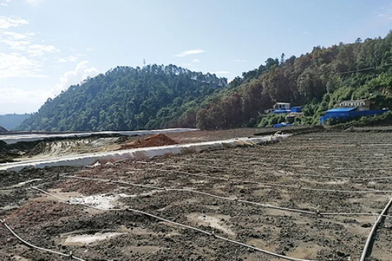 The Application of Sodium Cyanide in Gold Mining: A Key Chemical for Gold Extraction