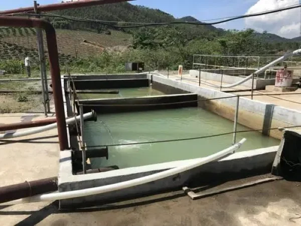 Using sodium cyanide for gold extraction can bring more profits